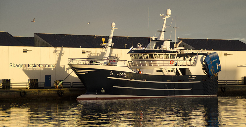 Nyt projekt sikrer optimale forhold ved Fisketerminalen